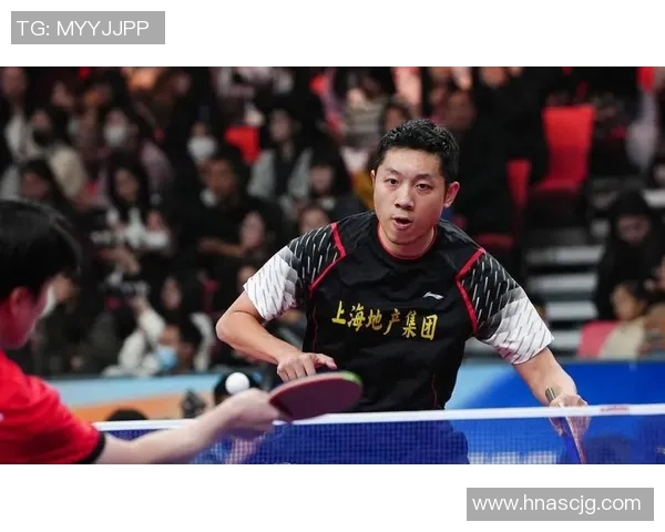 体育实时数据南京乒乓球队总决赛特别报道展现奋斗历程与荣耀时刻